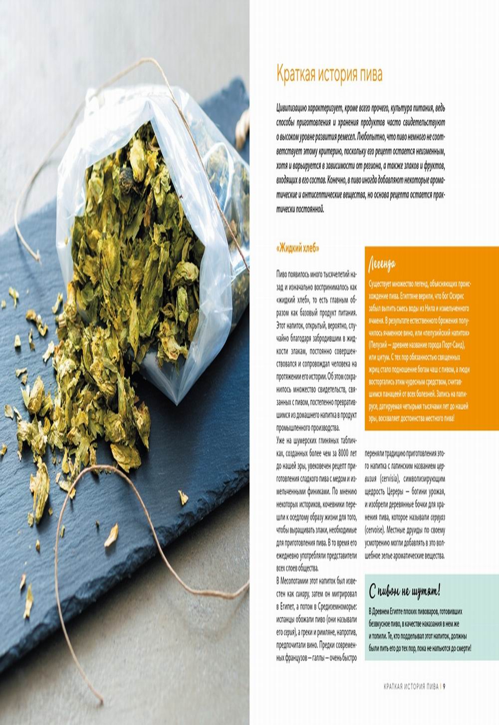 Домашнее пиво. Основная техника для приготовления, розлива и хранения.