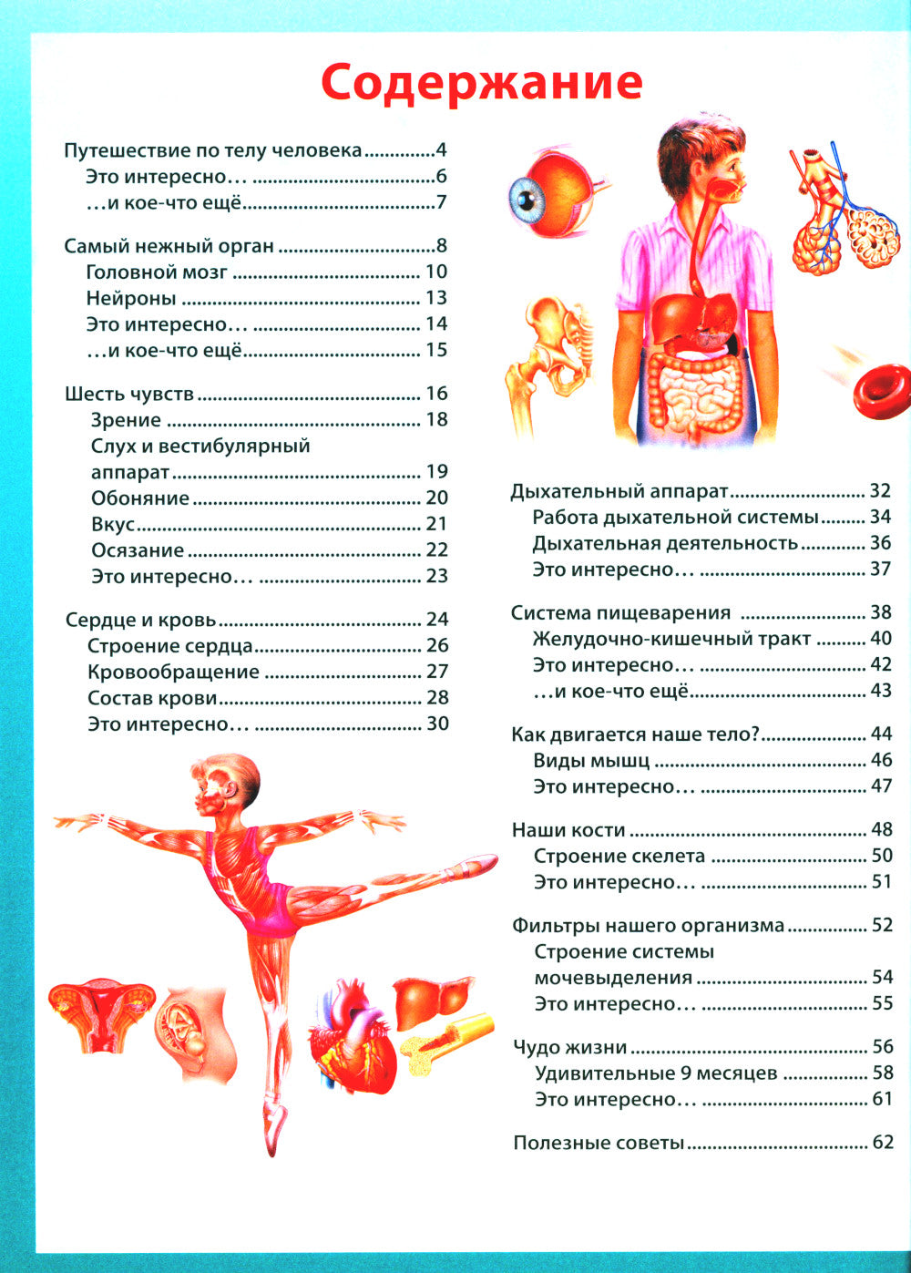 Анатомия человека. Книга для мальчиков и девочек