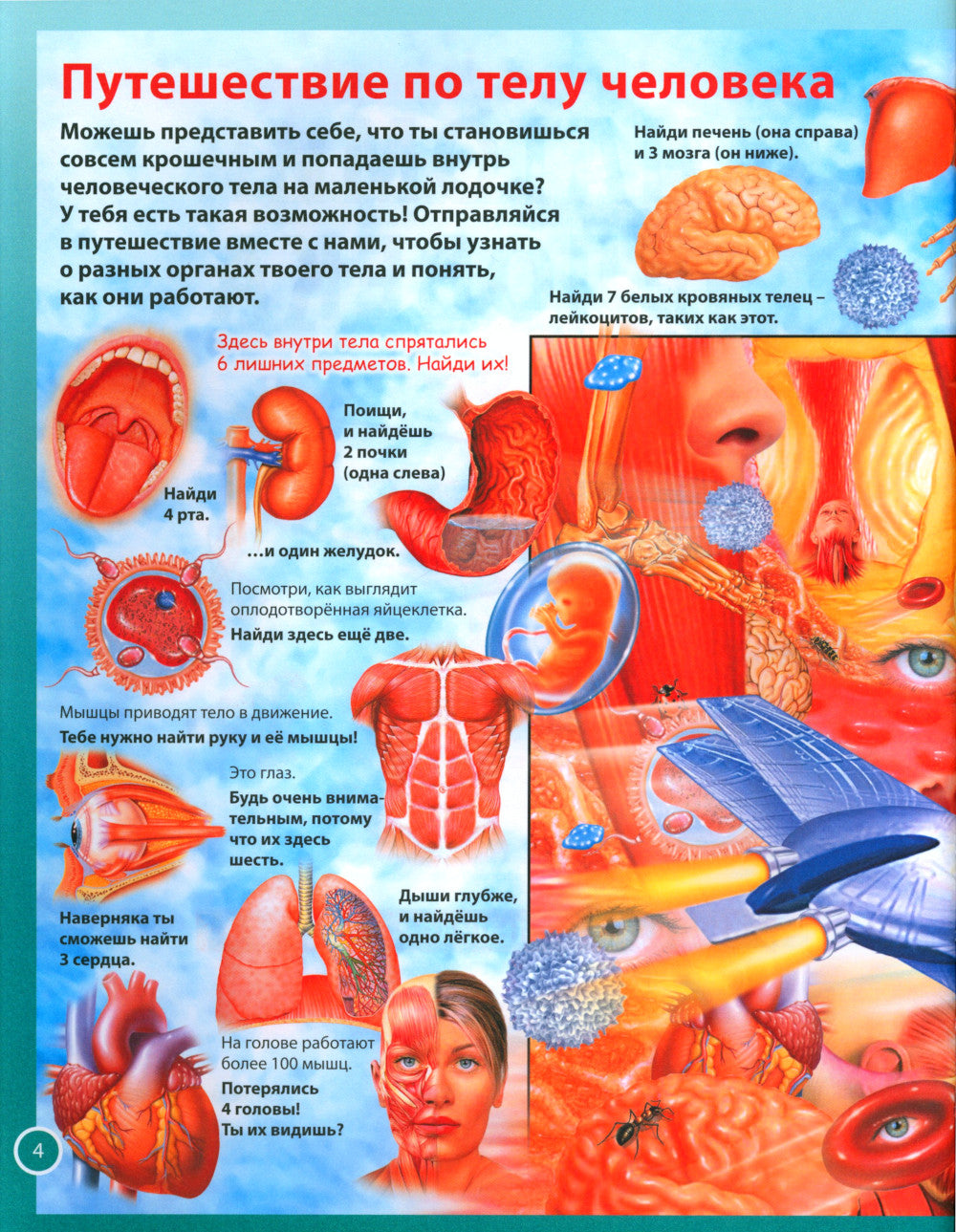 Анатомия человека. Книга для мальчиков и девочек