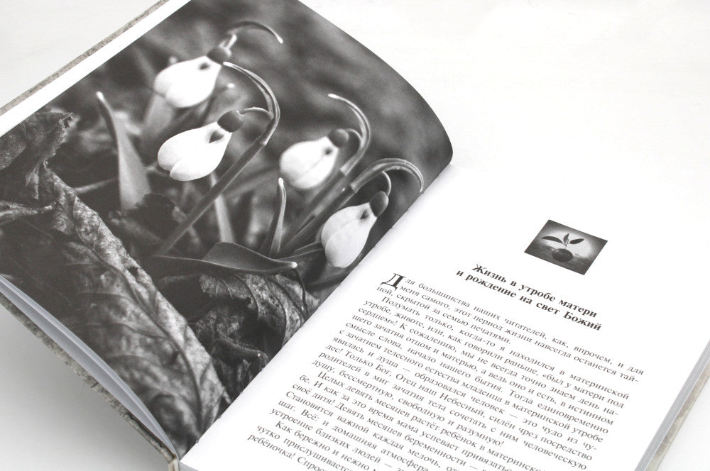 Учебник жизни