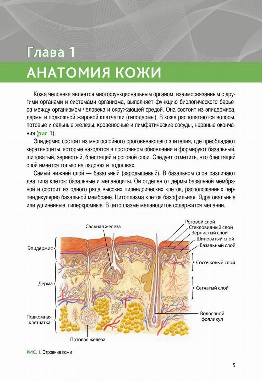 Практическая дерматология