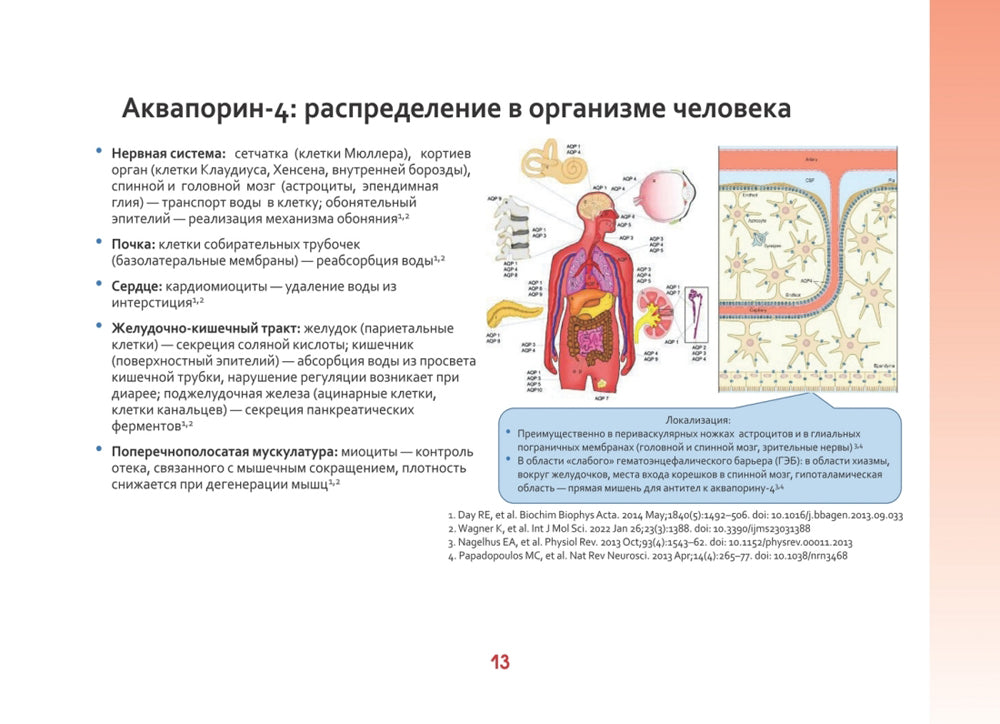 Оптиконейромиелит в фокусе. Практическое руководство по схемам и таблицам