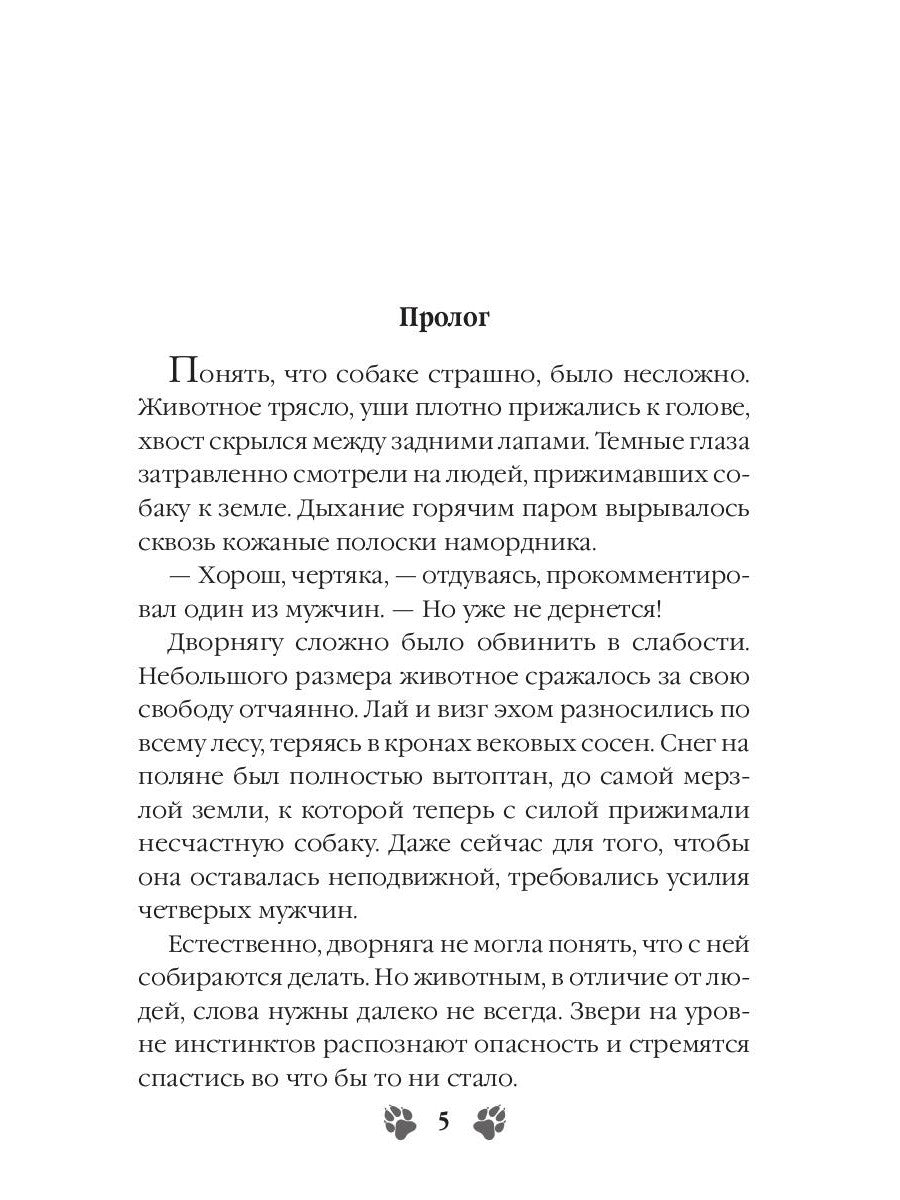 Кукольный дом