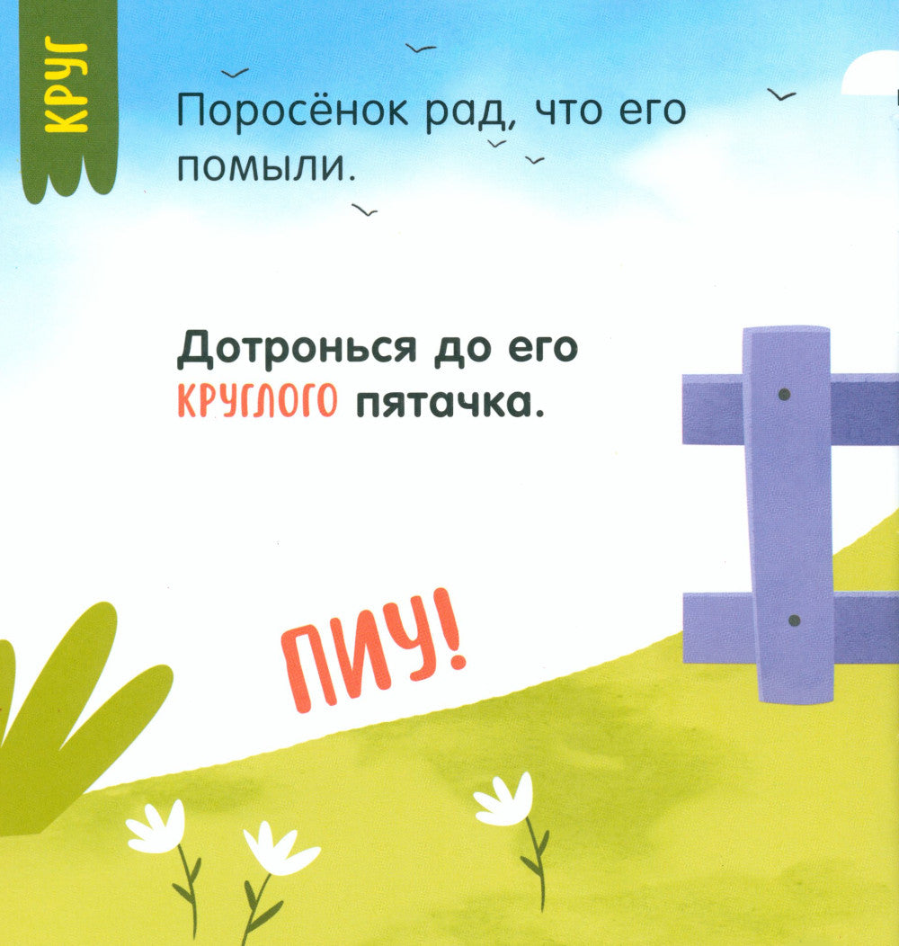 Мой умный малыш. Формы