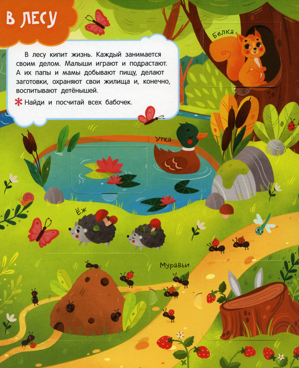 Животные: книга с окошками (более 30 окошек)