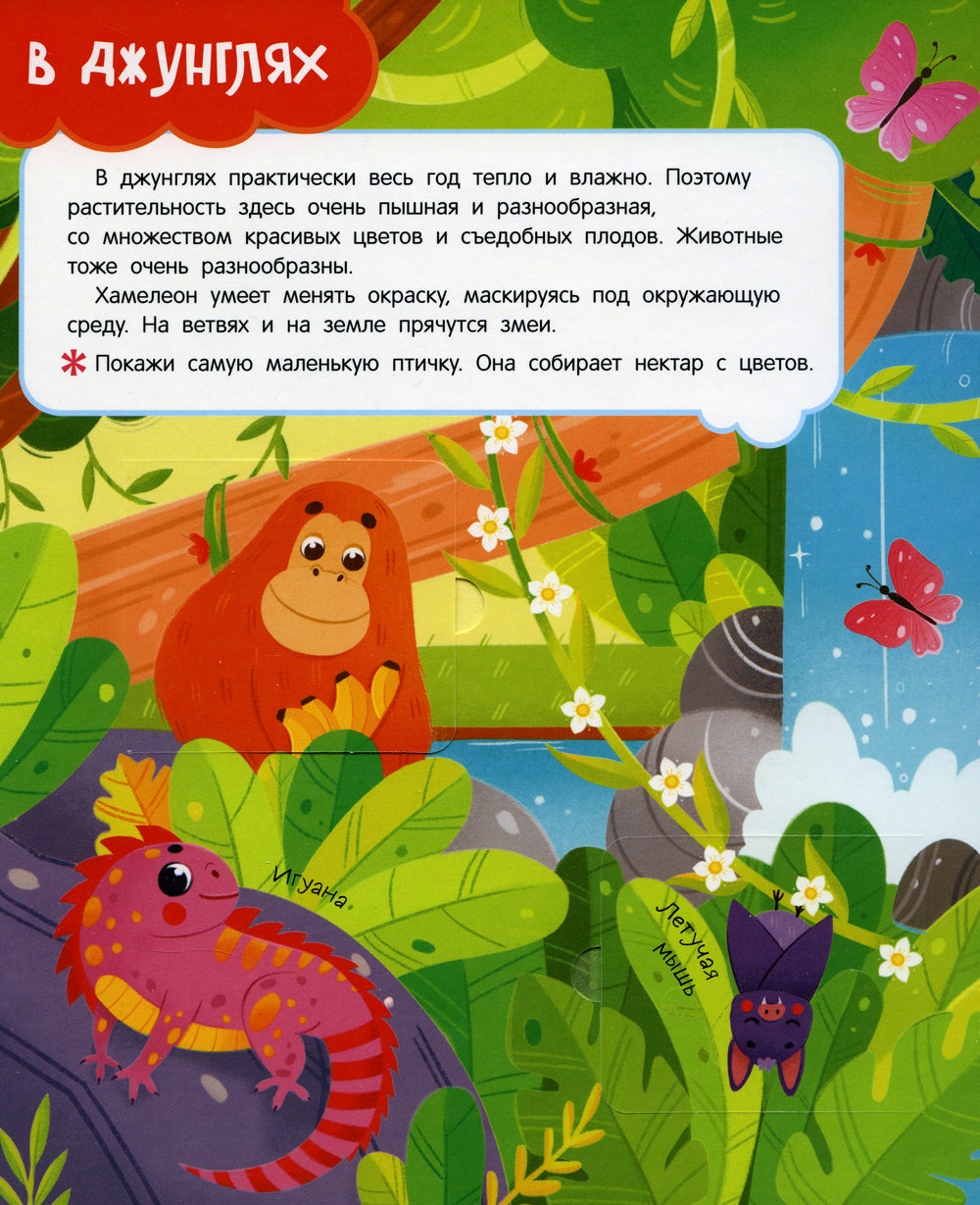 Животные: книга с окошками (более 30 окошек)