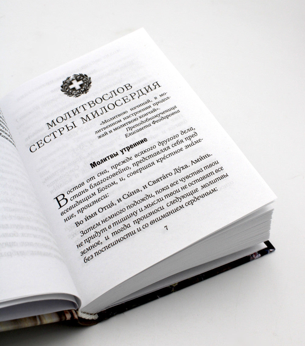 Спутник сестры милосердия