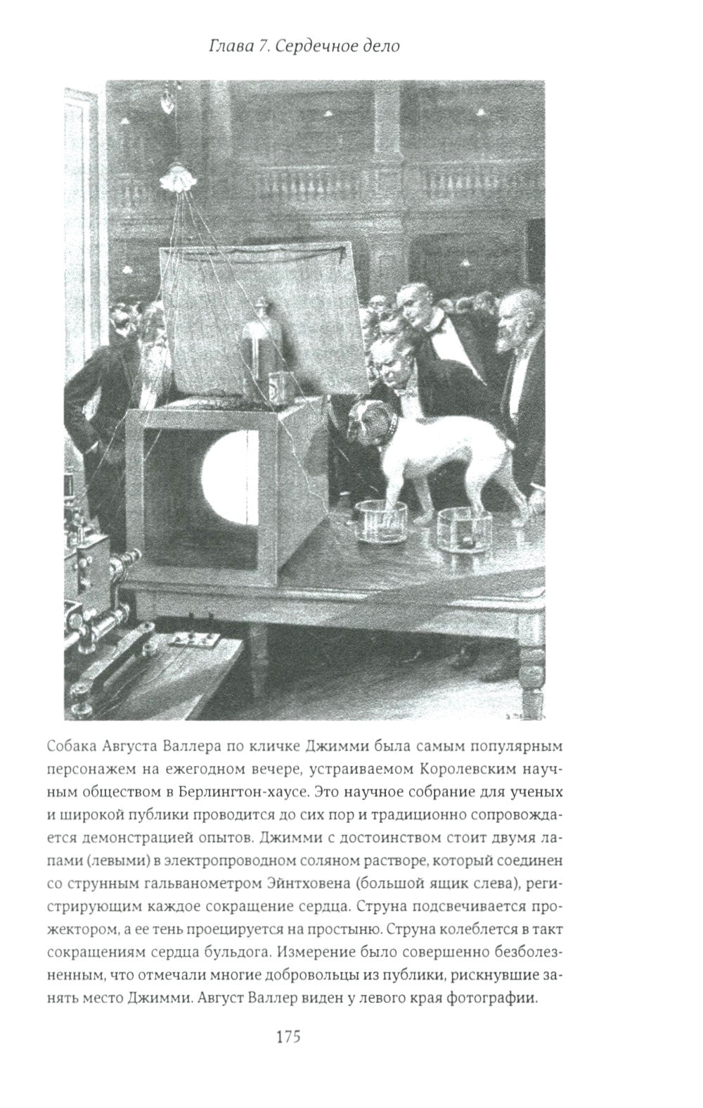 Искра жизни: Электричество в теле человека. 2-е изд