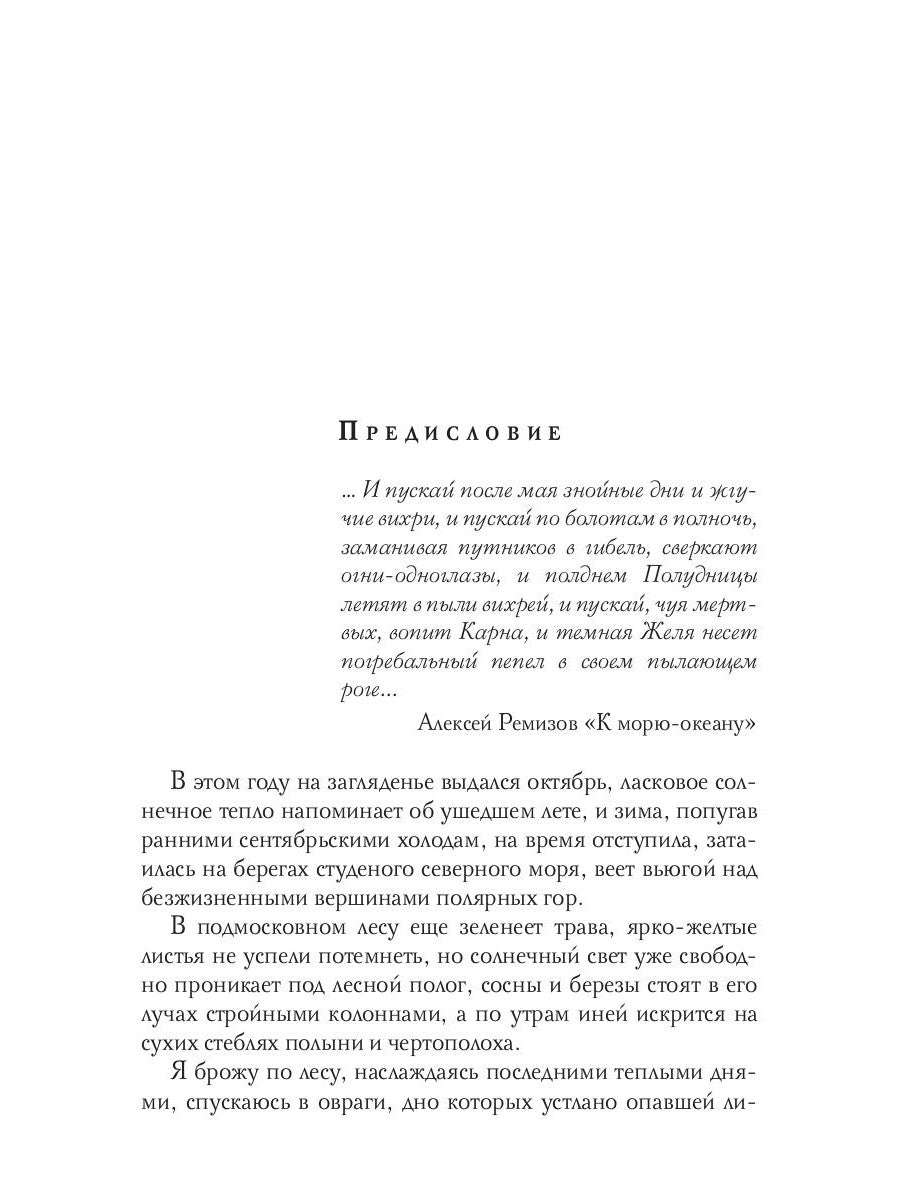 Тихие омуты