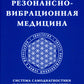Резонансно-вибрационная медицина. Система самодиагностики и самоисцеления человека: практическое руководство