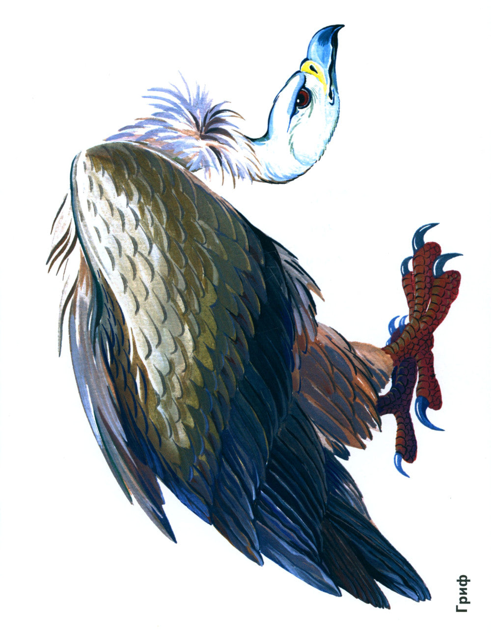 Птицы в картинках. Вып. 3. Наглядное пособие для педагогов, логопедов, воспитателей, родителей.