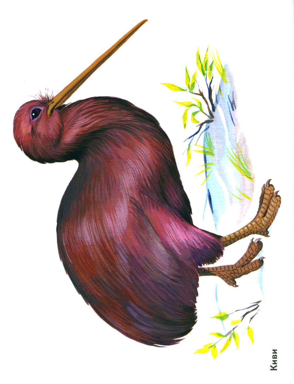 Птицы в картинках. Вып. 3. Наглядное пособие для педагогов, логопедов, воспитателей, родителей.