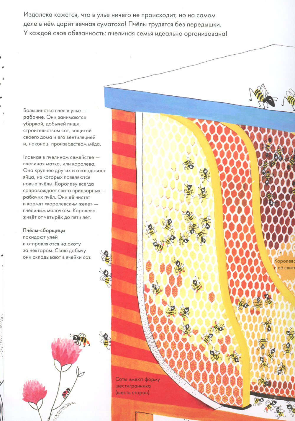 Тысяча и одна пчела