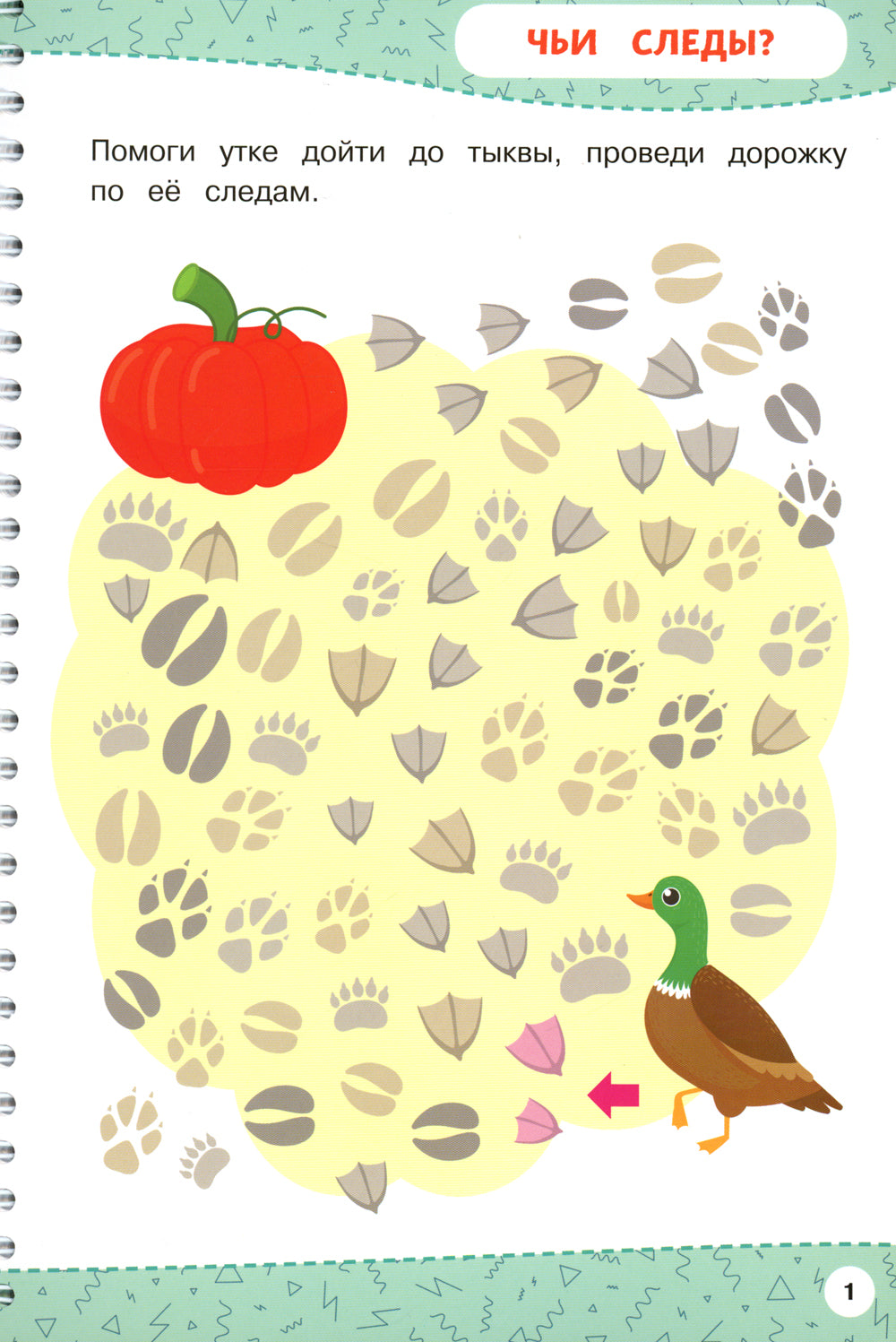 Развивайка-обучайка для детей 5-6 лет