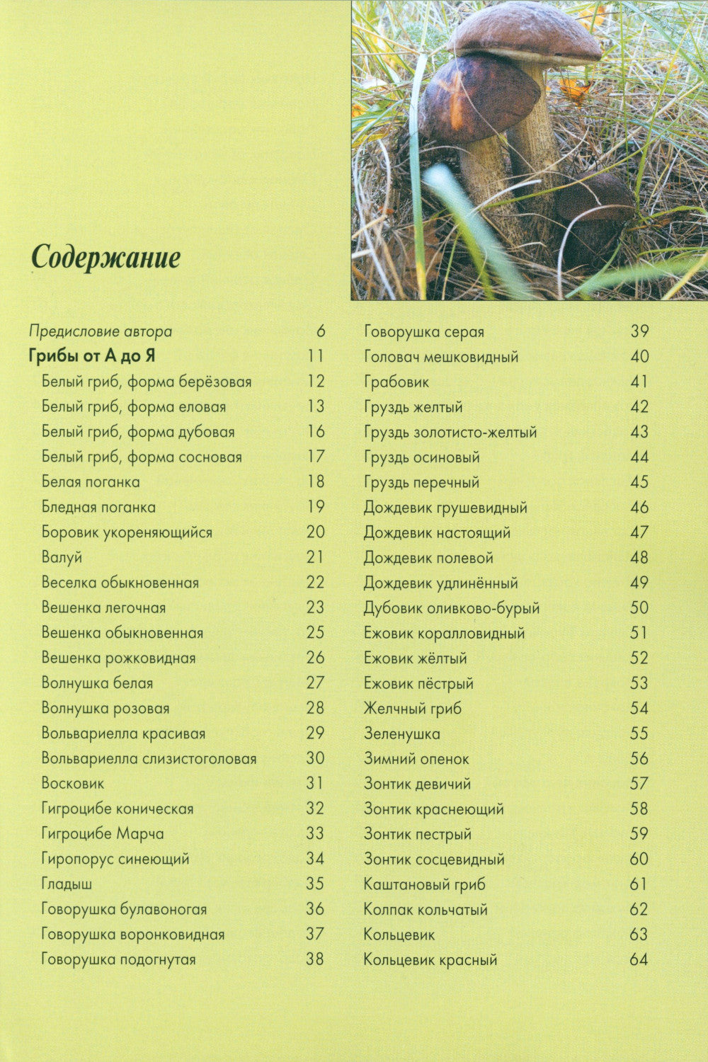 Грибы средних полос России: Атлас-определитель