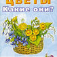 Цветы. Какие они? Книга для воспитателей, гувернеров и родителей