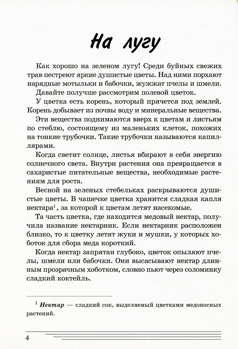 Цветы. Какие они? Книга для воспитателей, гувернеров и родителей