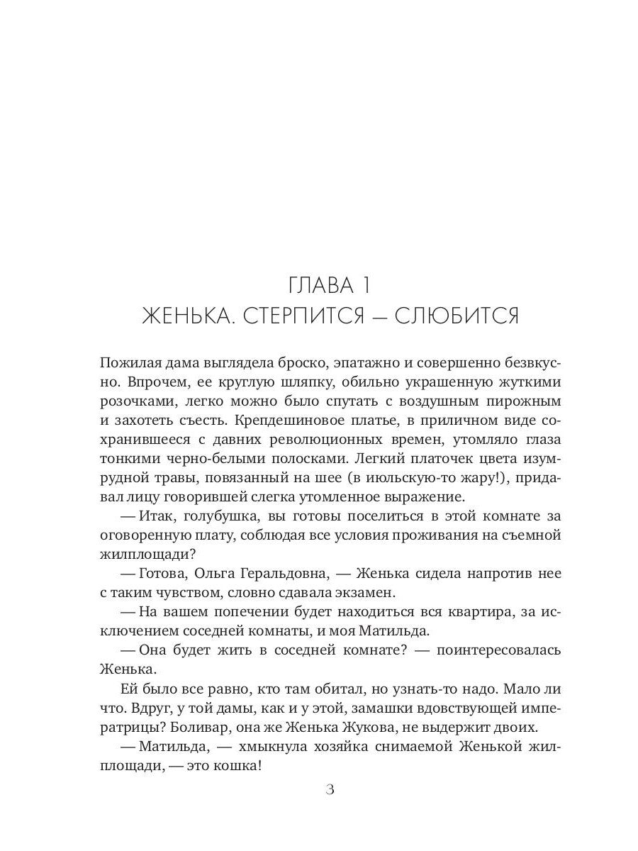 Кошка за окошком