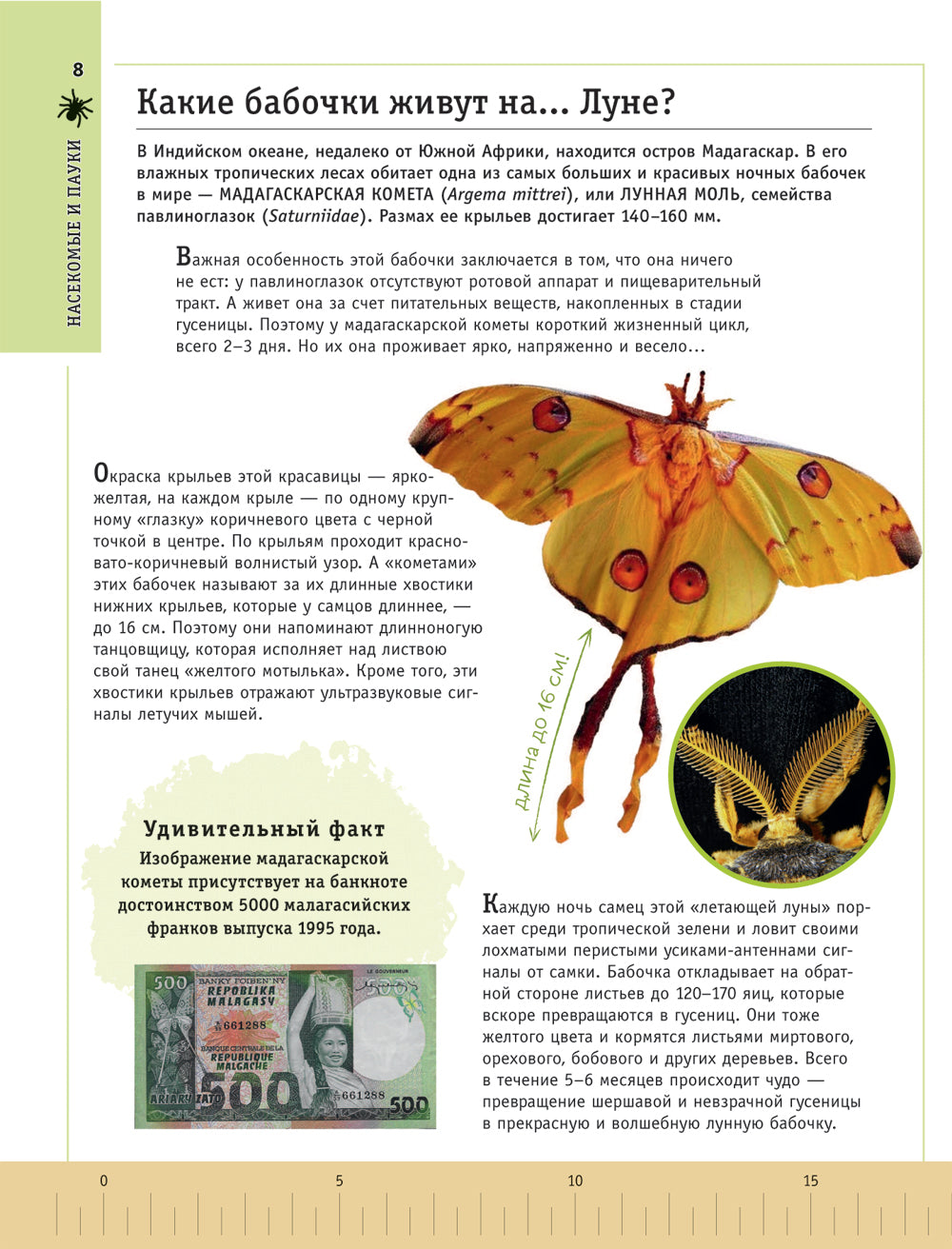 Редкие и удивительные животные нашей планеты. Энциклопедия для детей