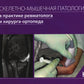 Скелетно-мышечная патология в практике ревматолога и хирурга-ортопеда: Краткое иллюстрированное руководство
