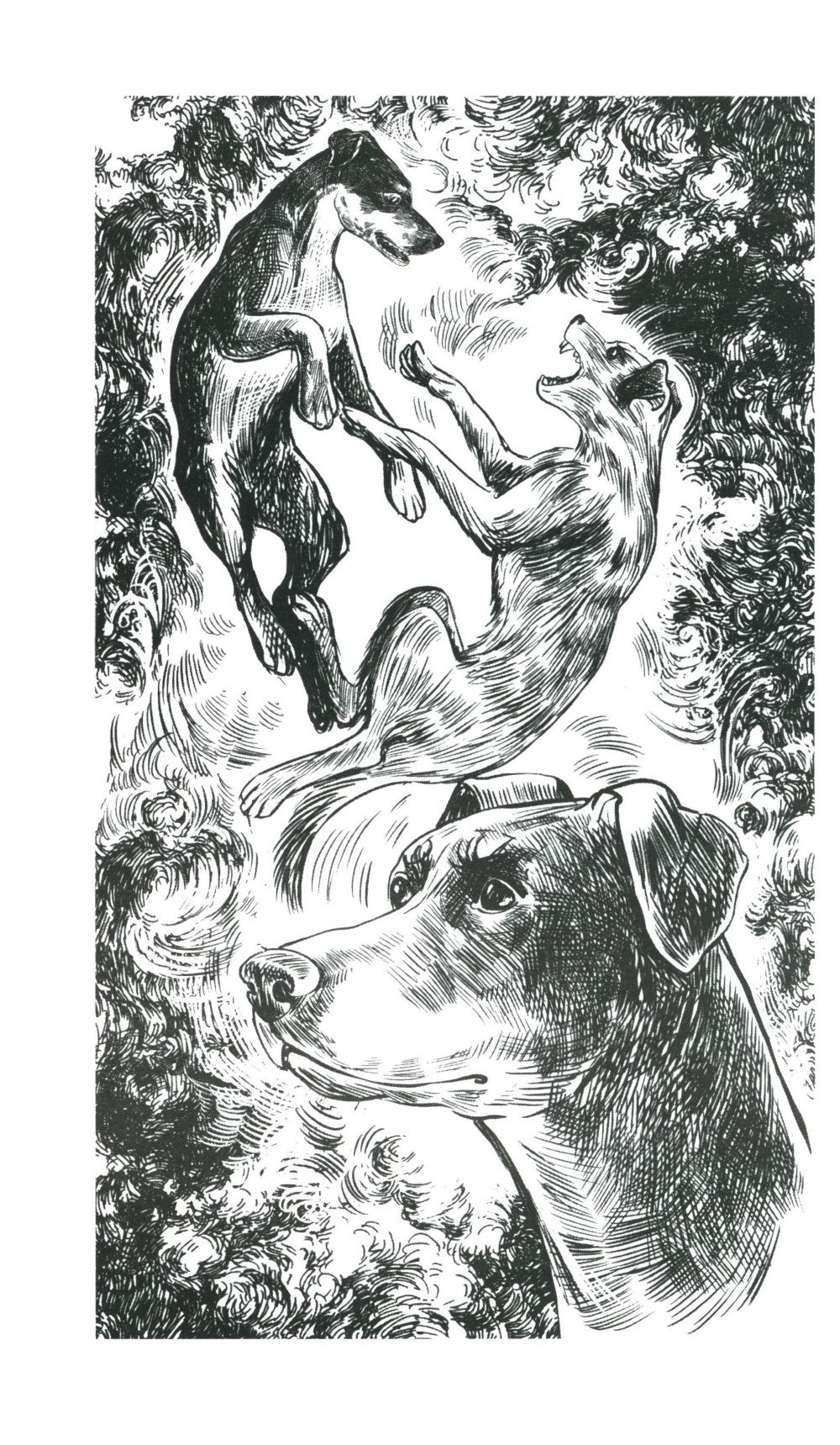 Хроники Стаи. Последняя битва