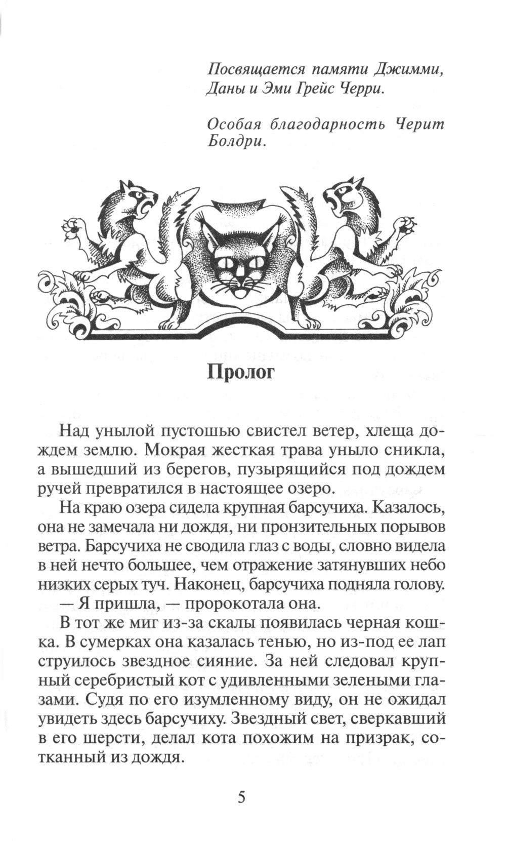 Коты-воители. Длинные тени