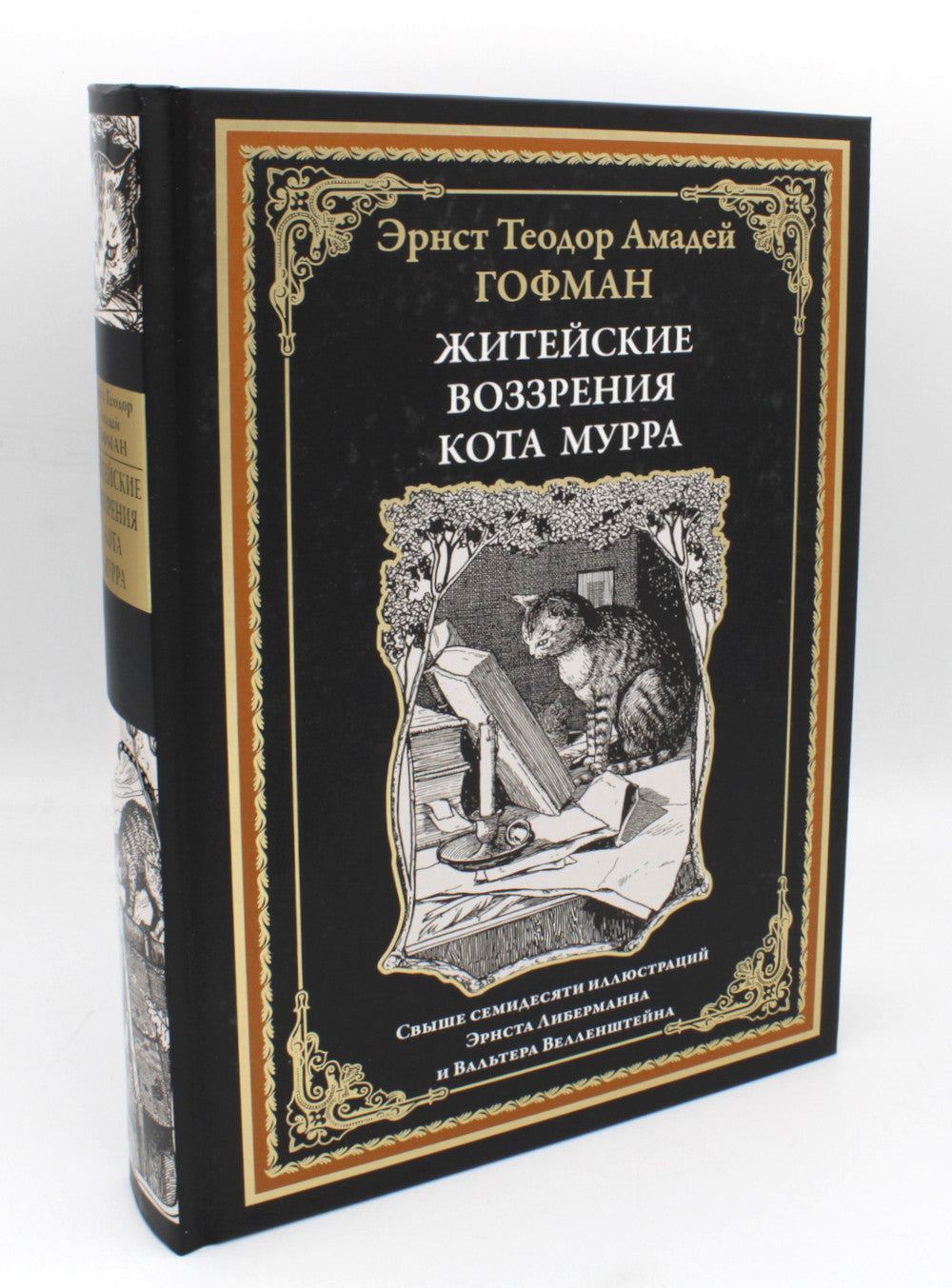 Житейские воззрения кота Мурра