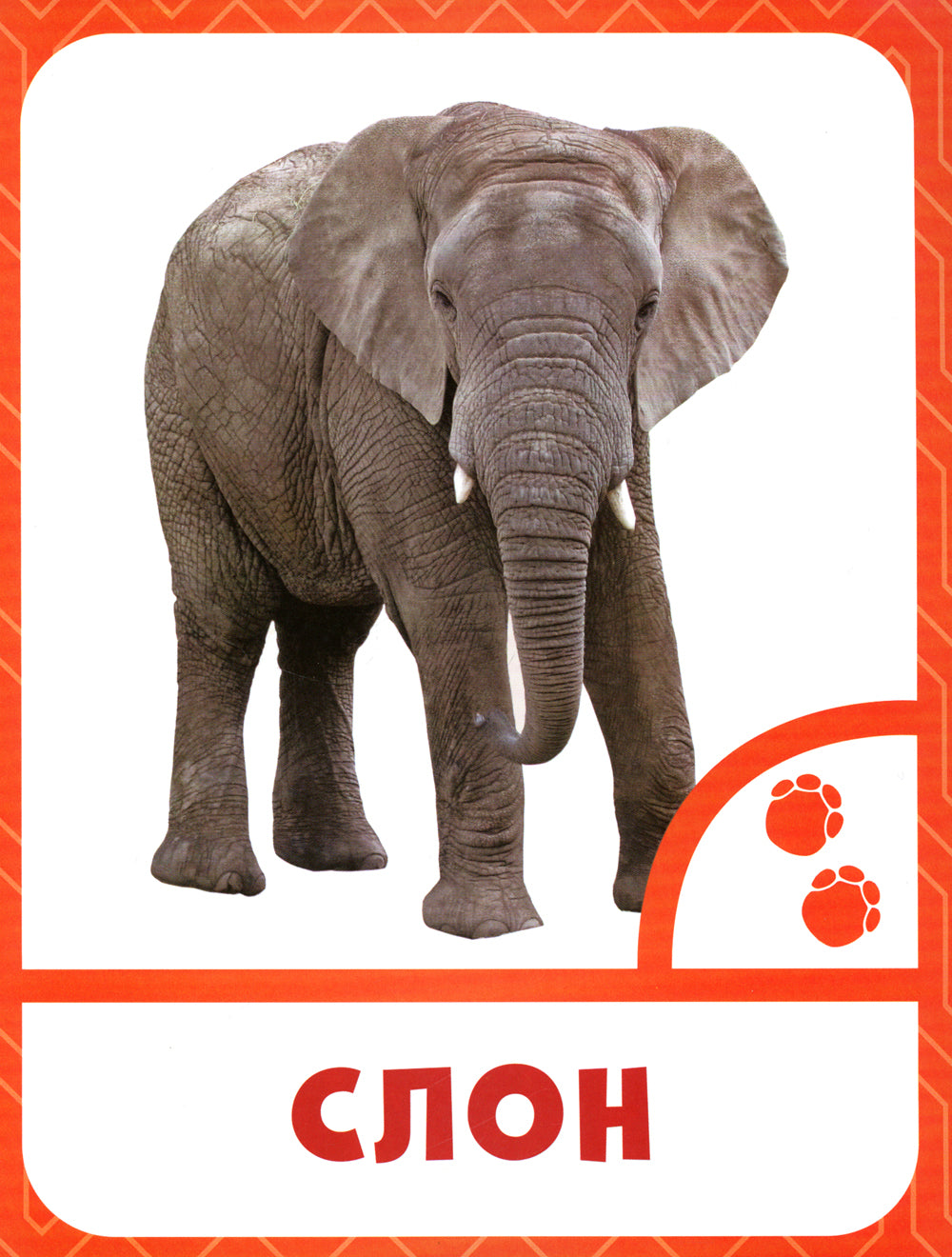 Nombre de chefs de file : 0+