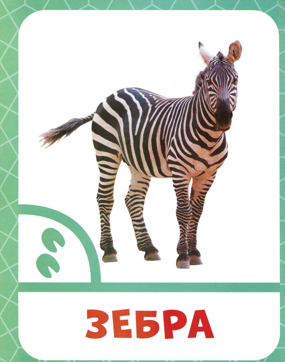 Nombre de chefs de file : 0+