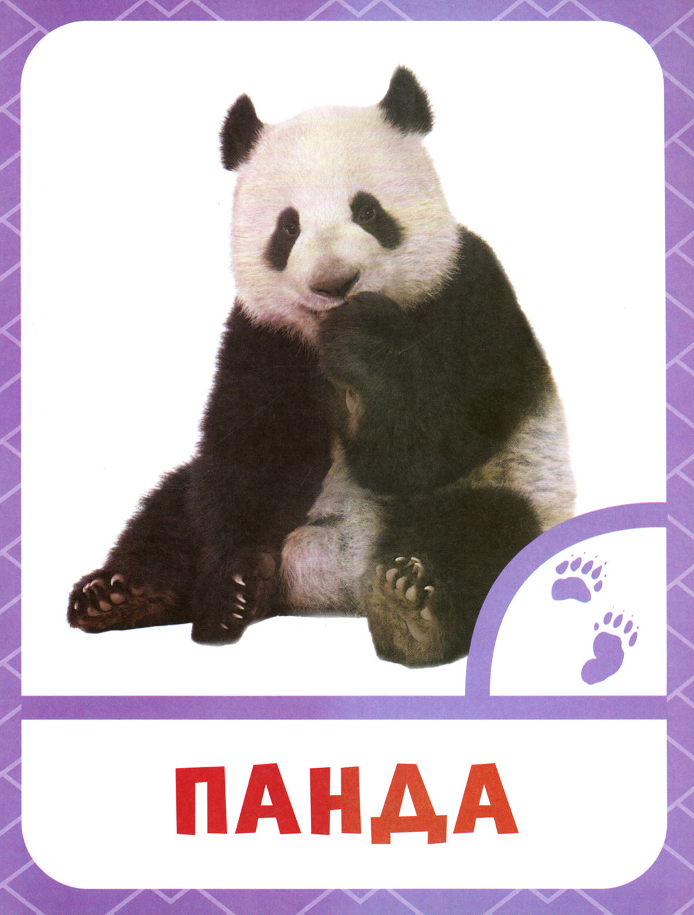 Nombre de chefs de file : 0+