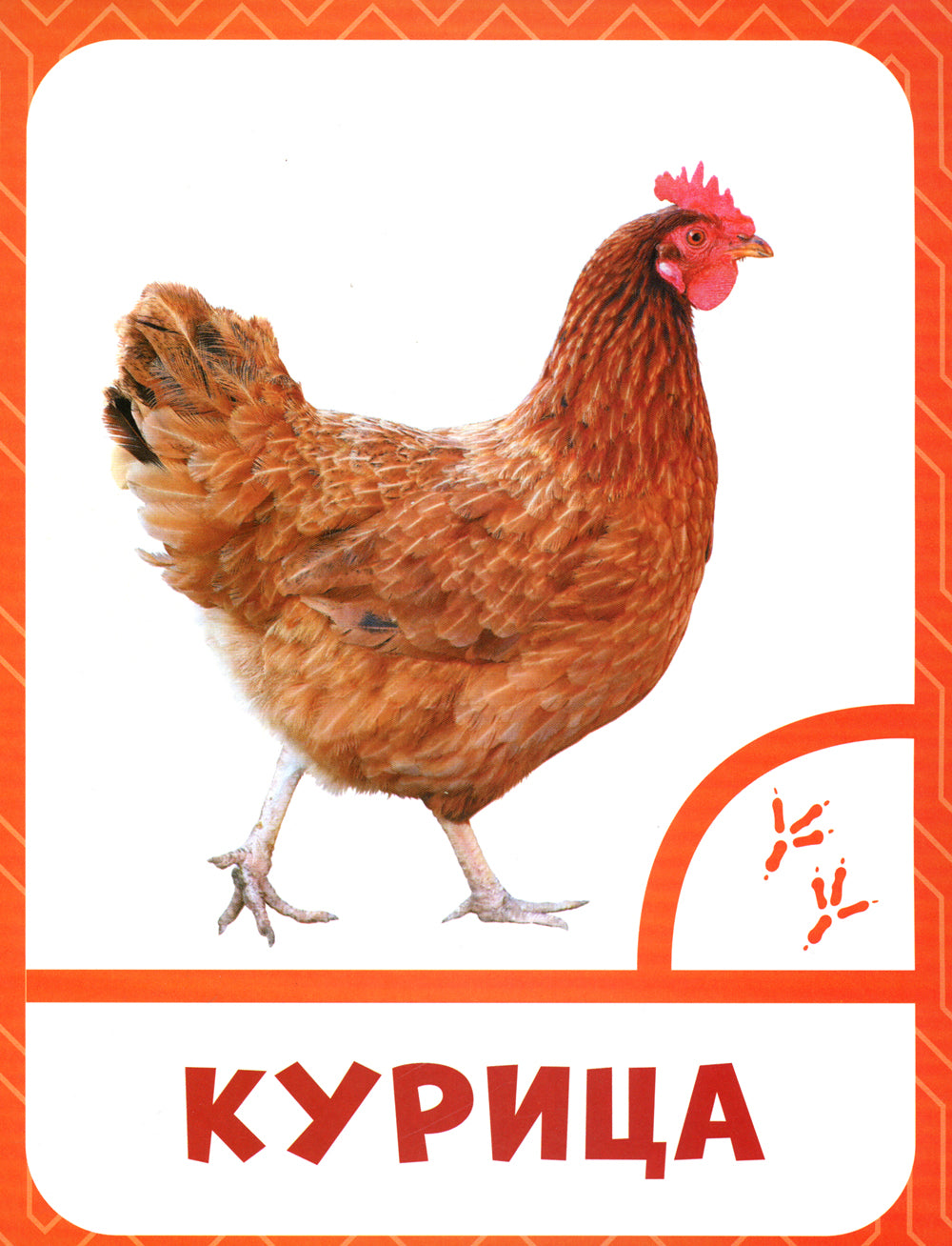 Животные фермы