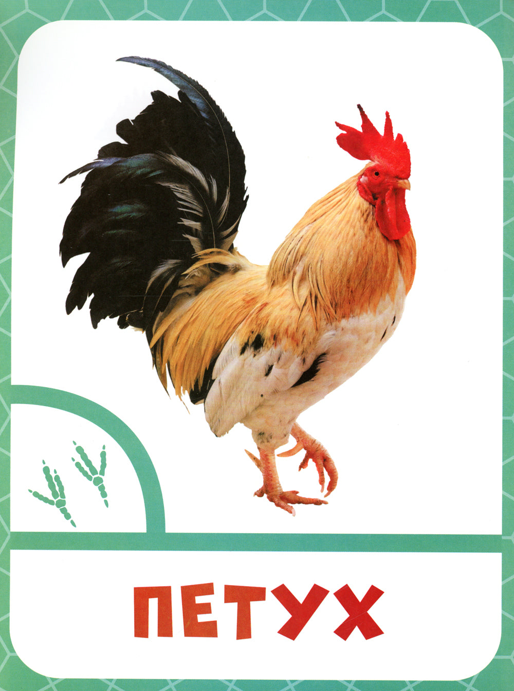 Животные фермы