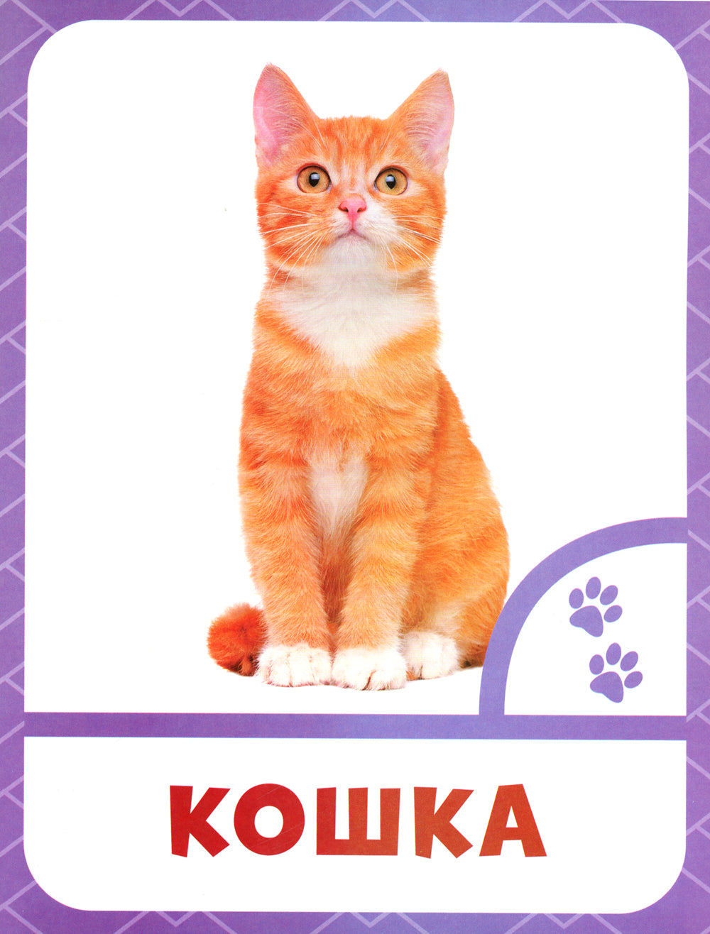 Животные фермы