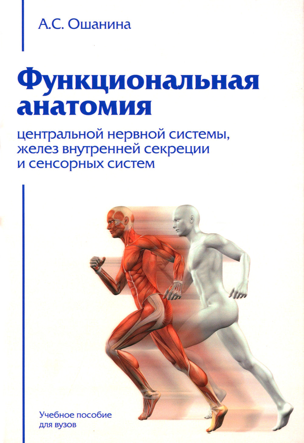 Функциональная анатомия центральной нервной системы, желез внутренней секреции и сенсорных систем: Учебное пособие для ВУЗов