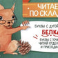 Читаем по складам Белка