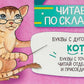 Читаем по складам Кот
