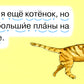 Читаем по складам Кот