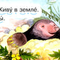 Читаем по складам Крот