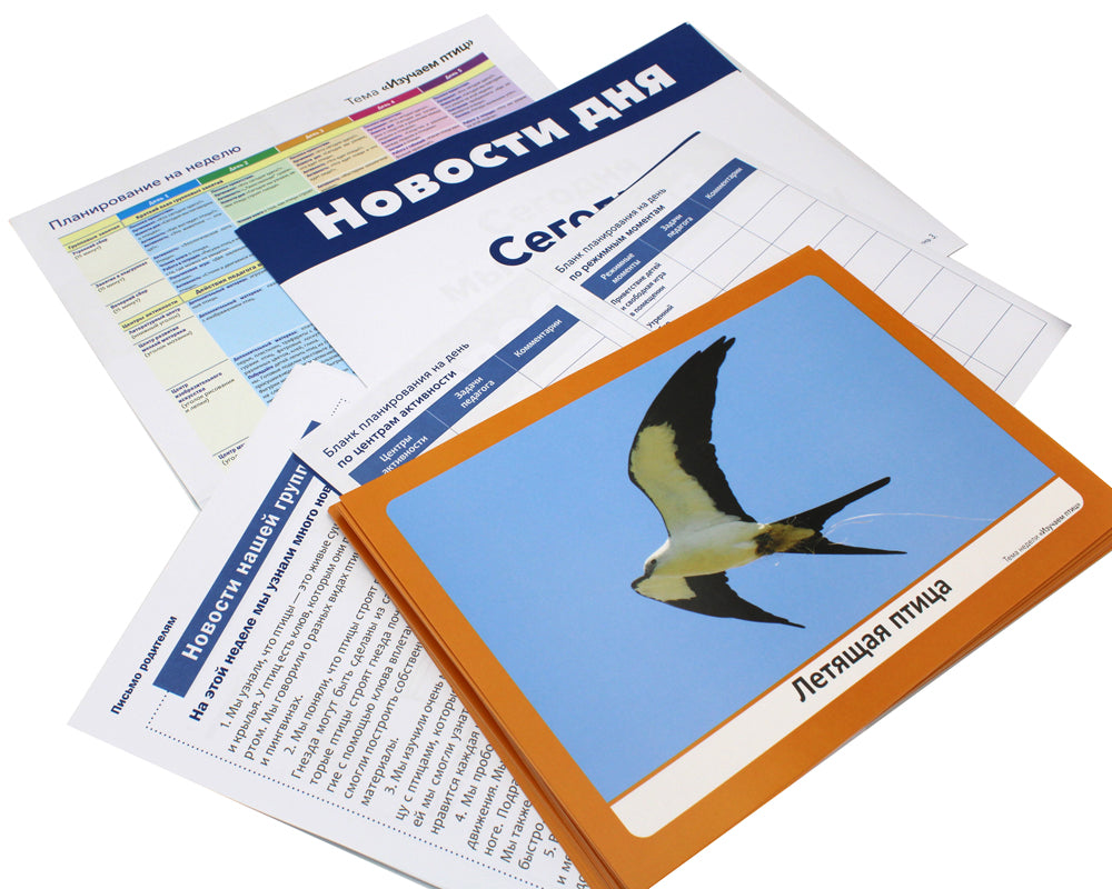 Наглядно-дидактический материал к теме "Изучаем птиц". 3-5 лет