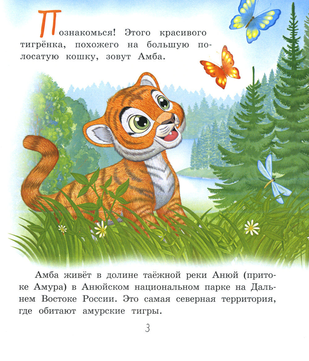 О тигренке Амбе и его друзья: для детей дошкольного возраста