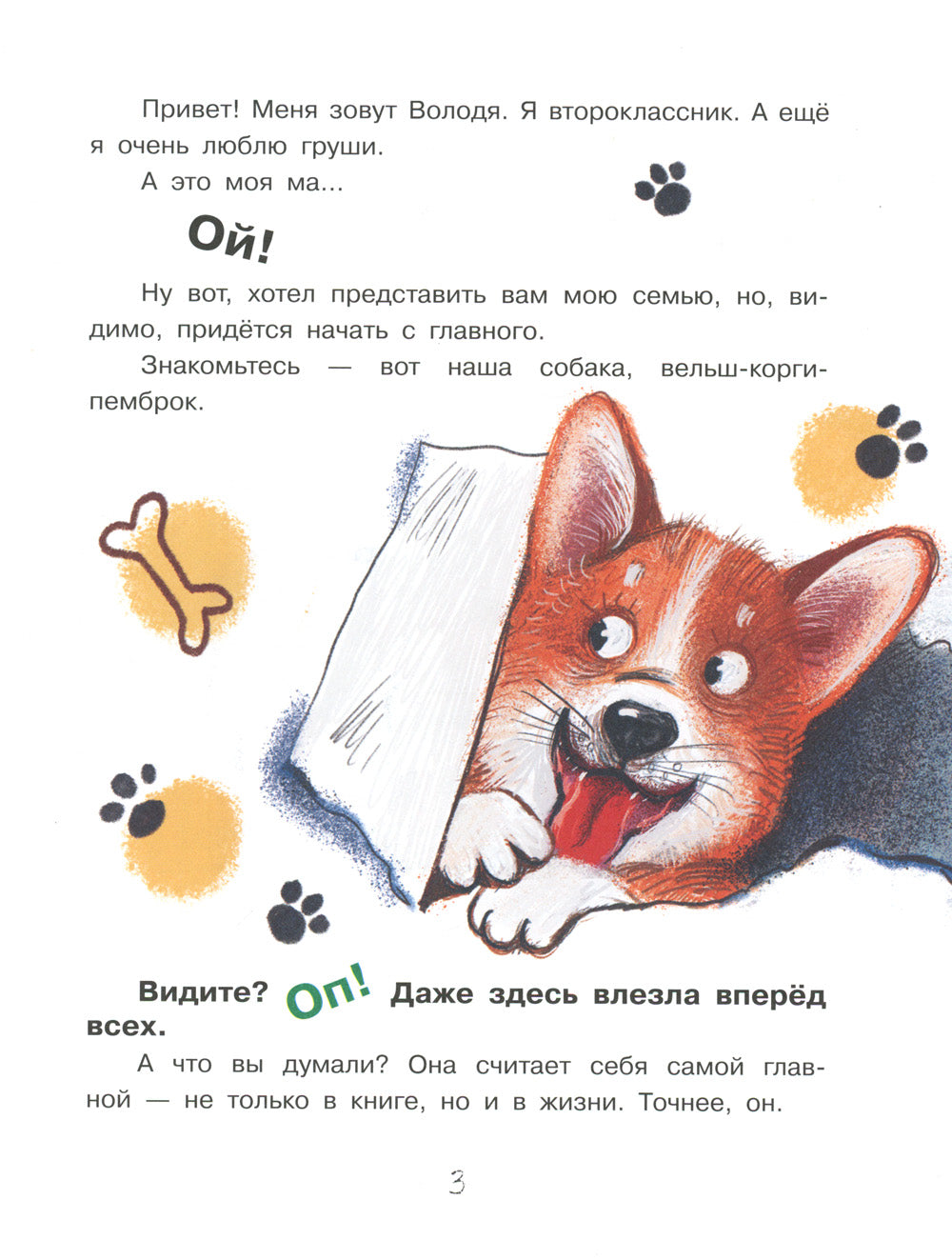 Улисс и носочная фея