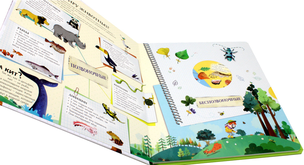 Мои животные