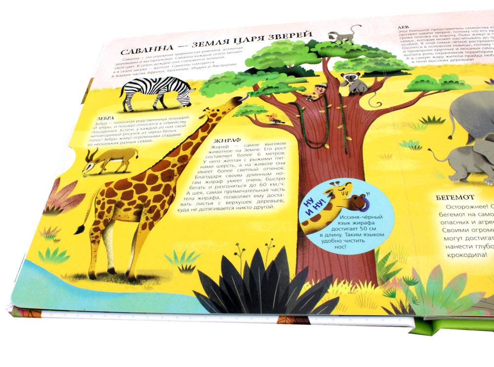 Мои животные