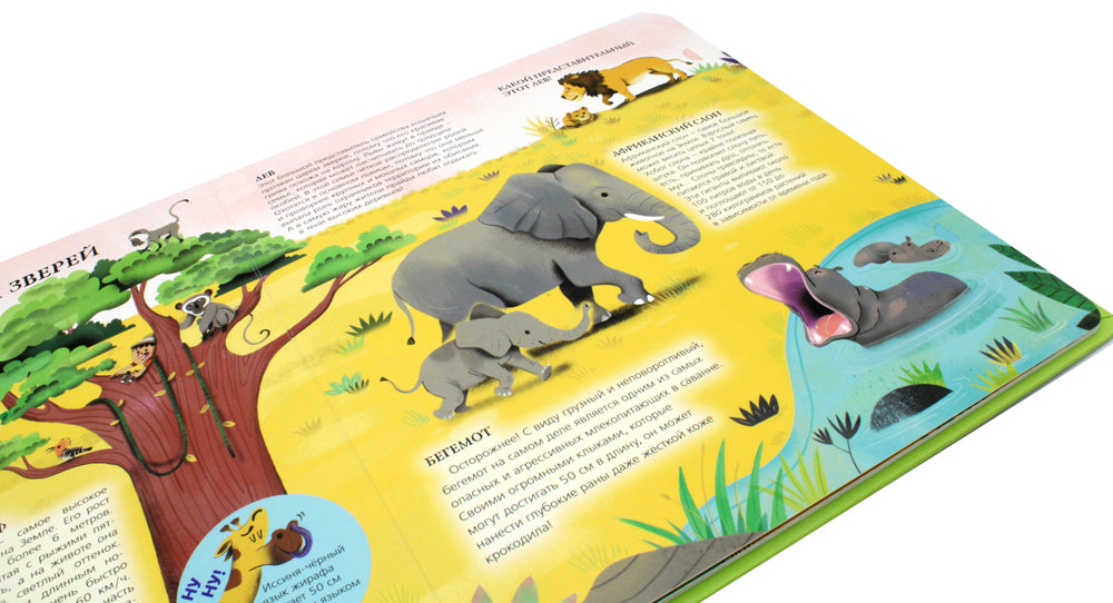 Мои животные