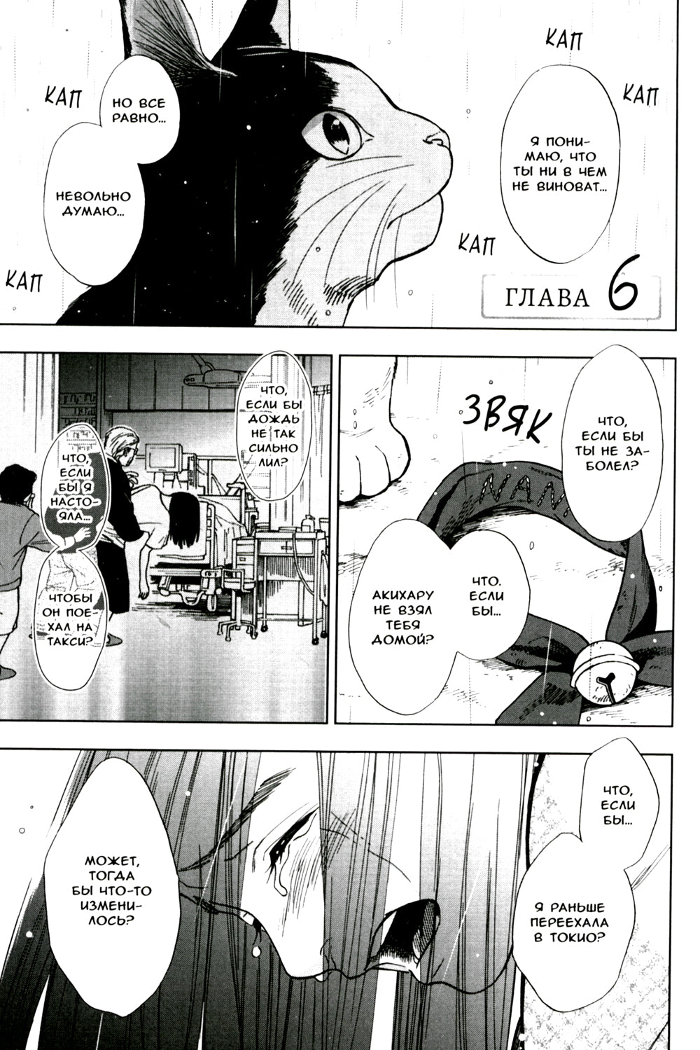 Жизнь бродячего кота. Т. 2