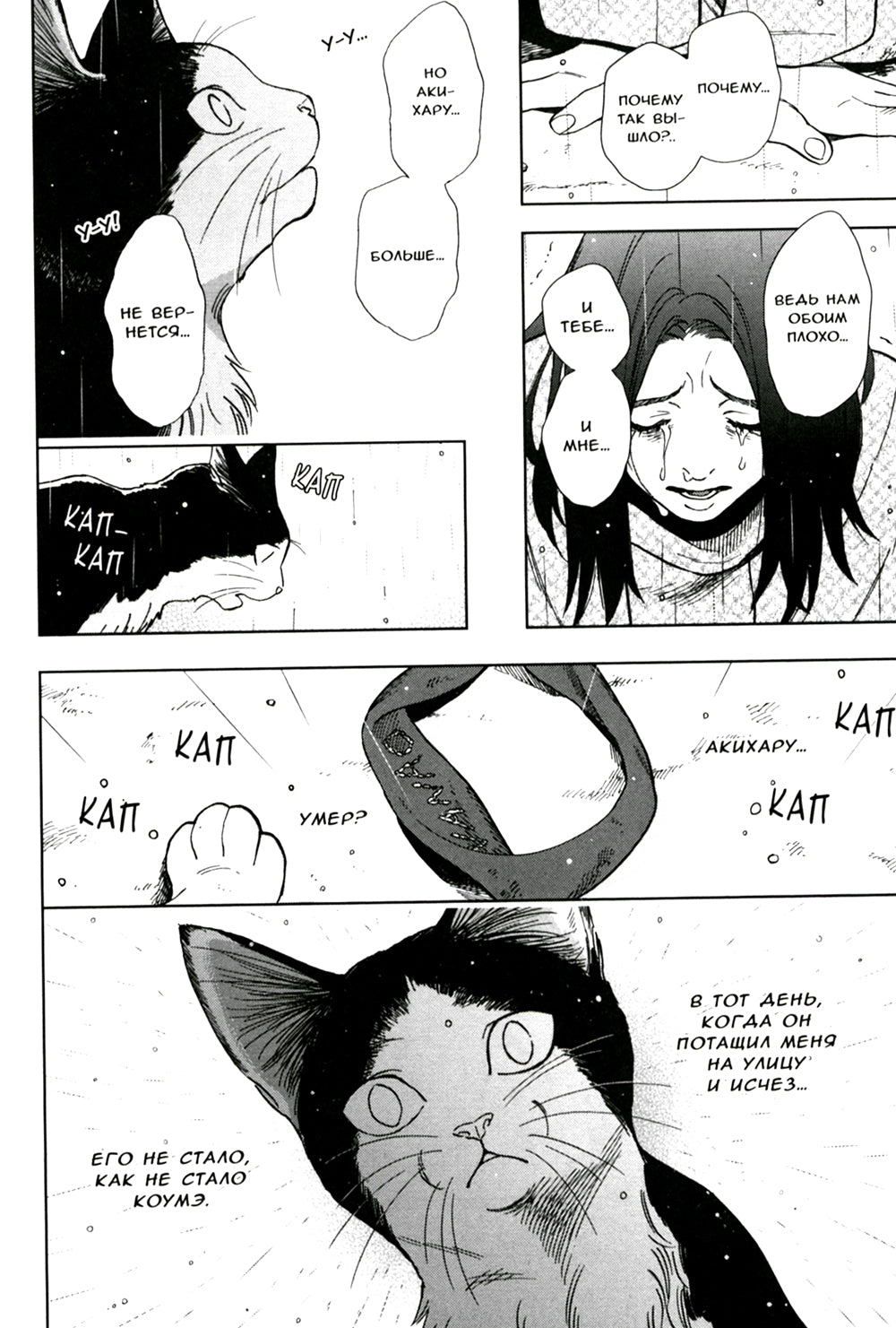 Жизнь бродячего кота. Т. 2