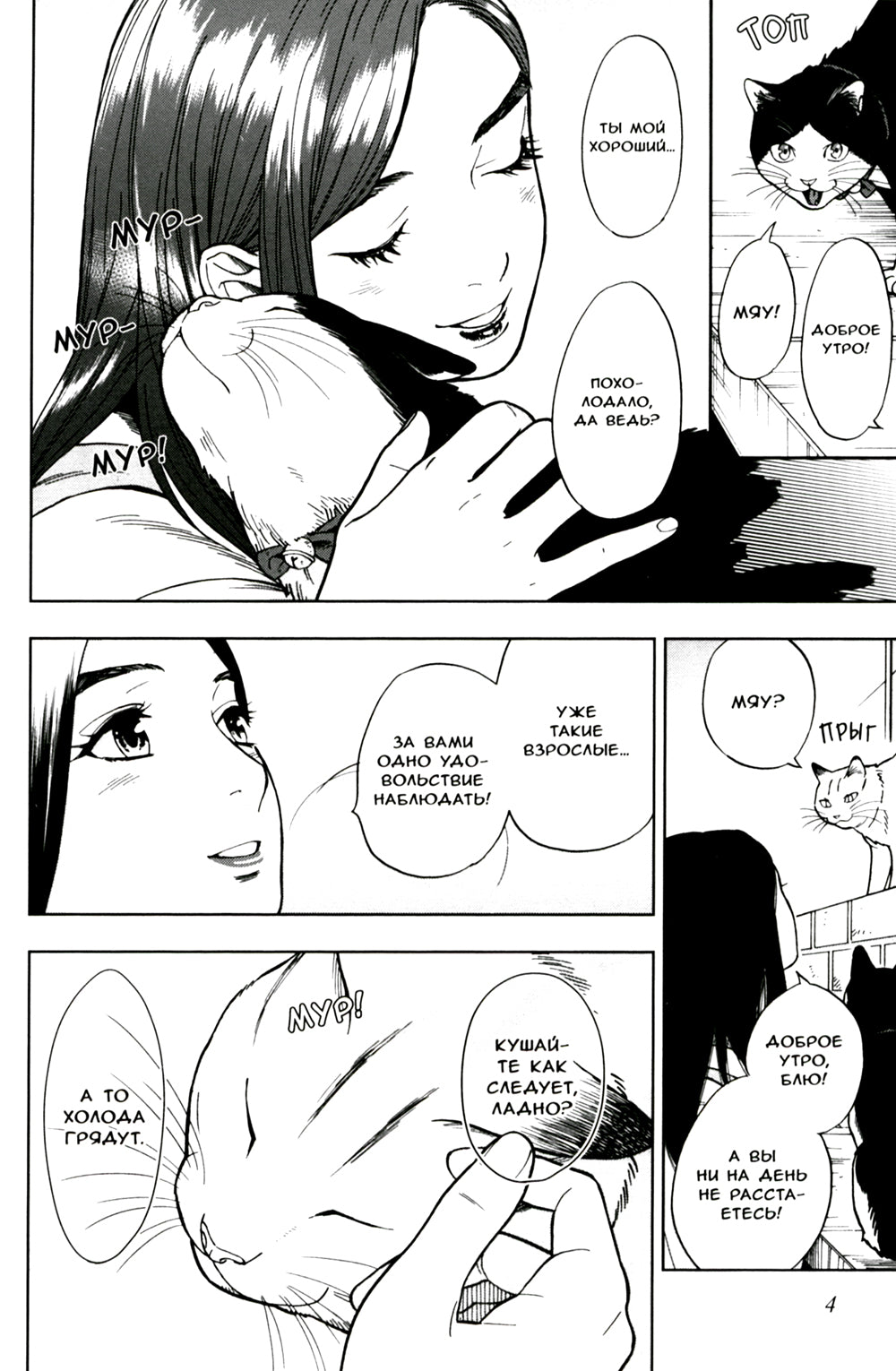 Жизнь бродячего кота. Т. 3