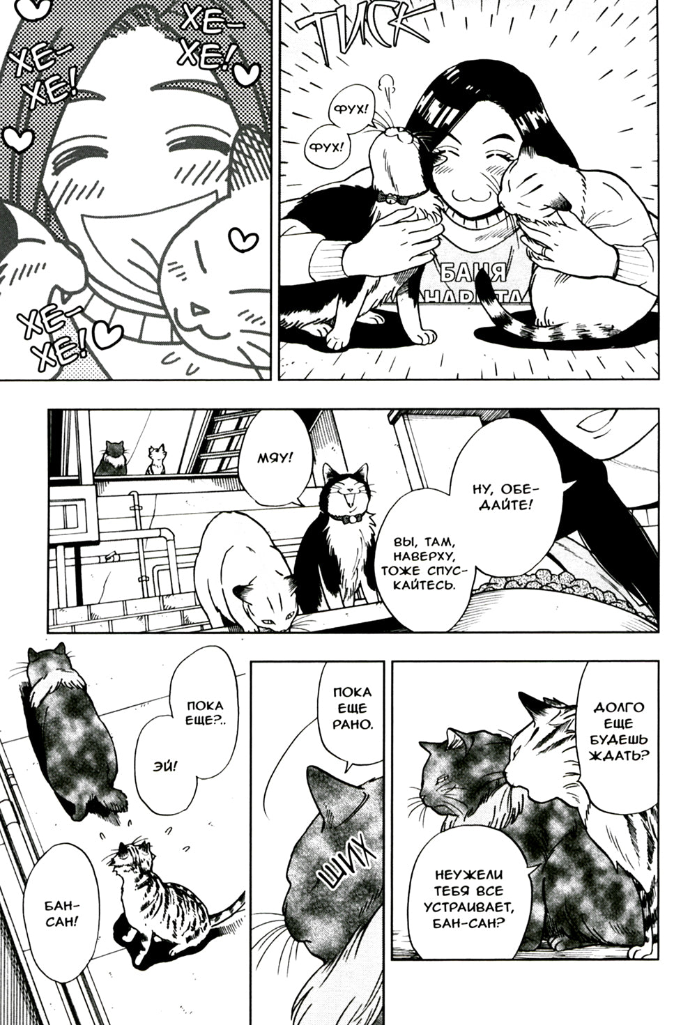 Жизнь бродячего кота. Т. 3