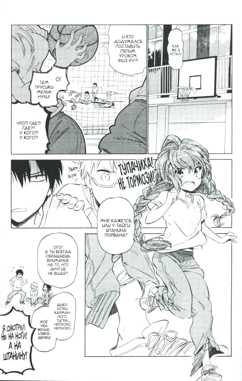 Торадора. Т. 6: манга