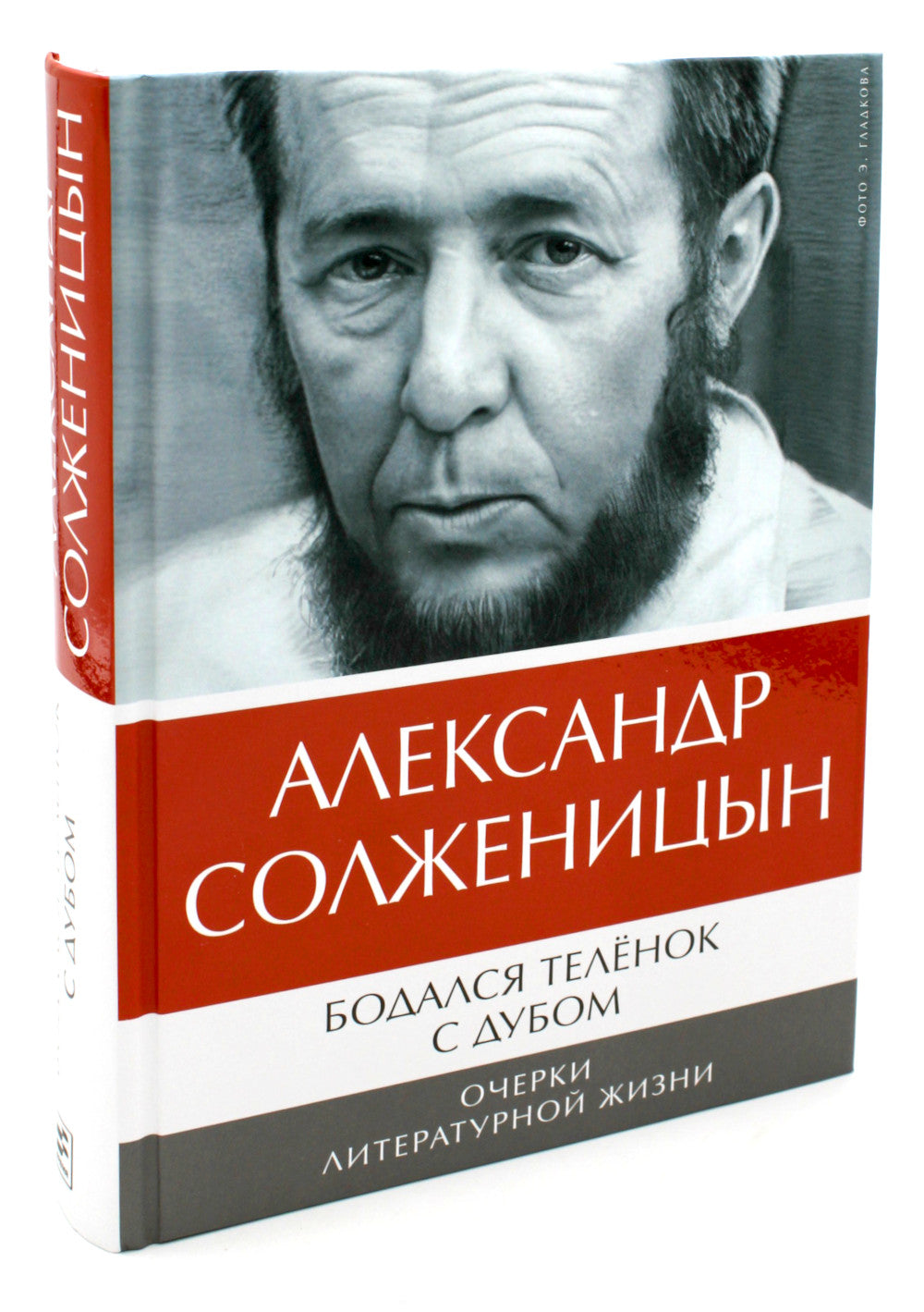 Бодался теленок с дубом: Очерки литературной жизни